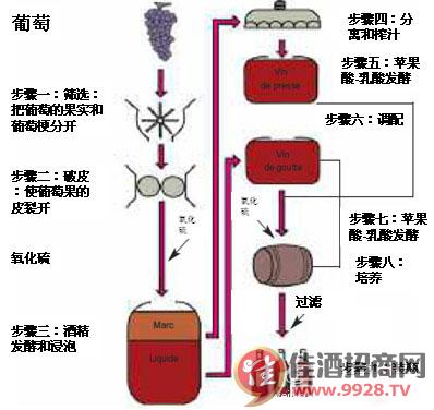 经常出现的酿造红葡萄酒的葡萄种类