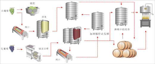 干葡萄酒制造工艺流程