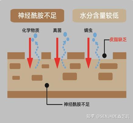 刷酸刷酸