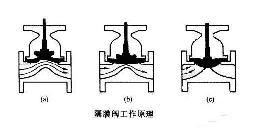 如何选用适宜的方法测定微生物的生长