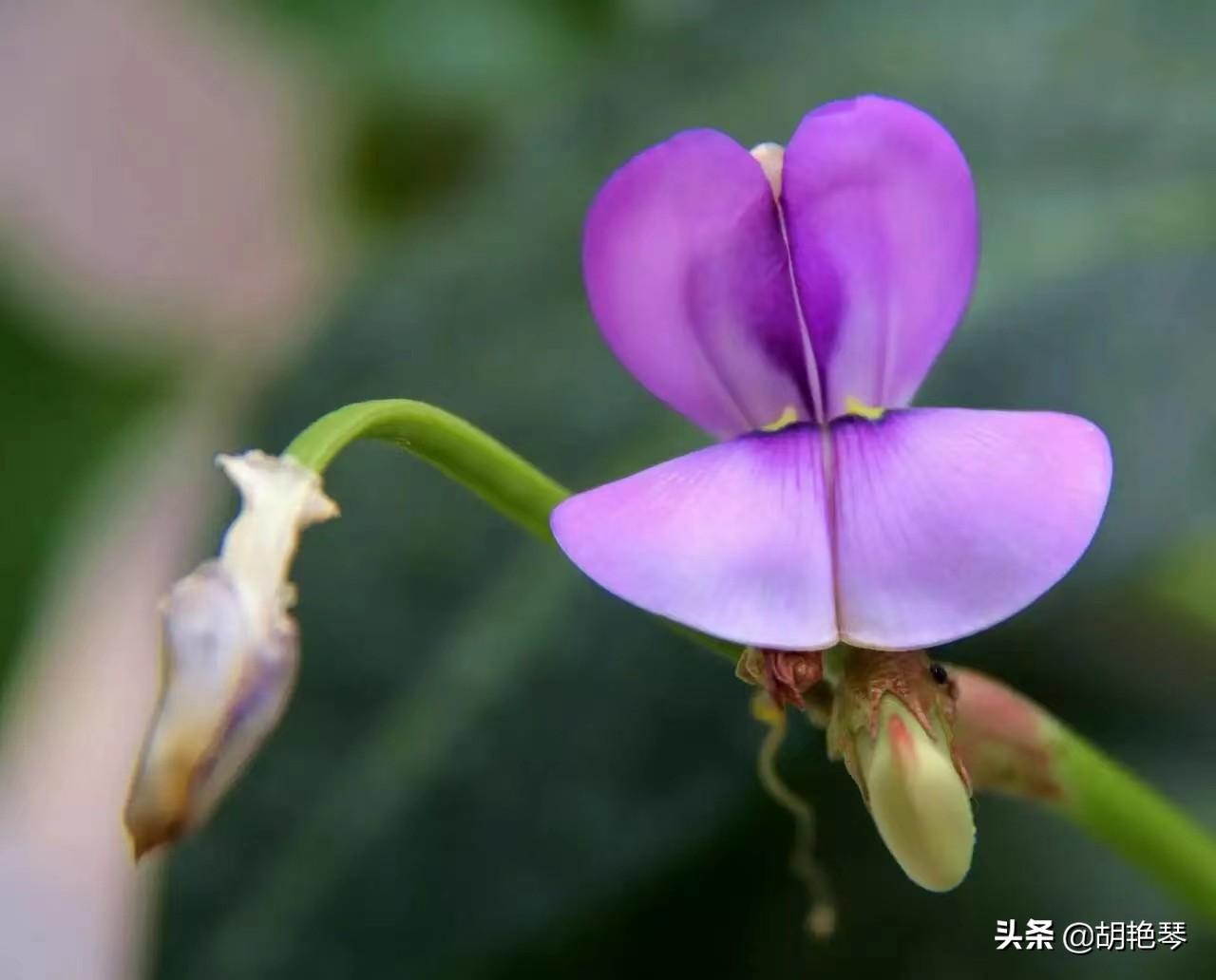 便捷耐看的淡妆教程引见