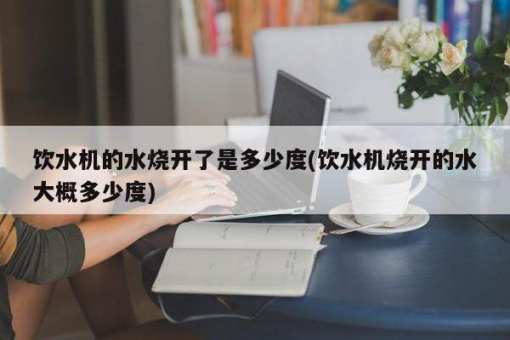 处置饮水机烧水壶放不出来的疑问 饮水机烧水壶放不出来了