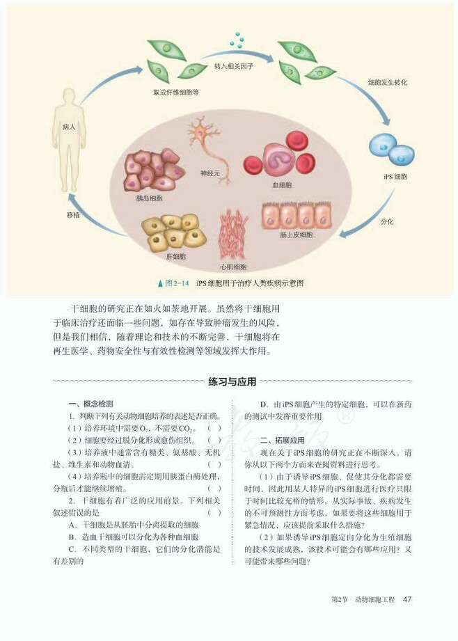 动物