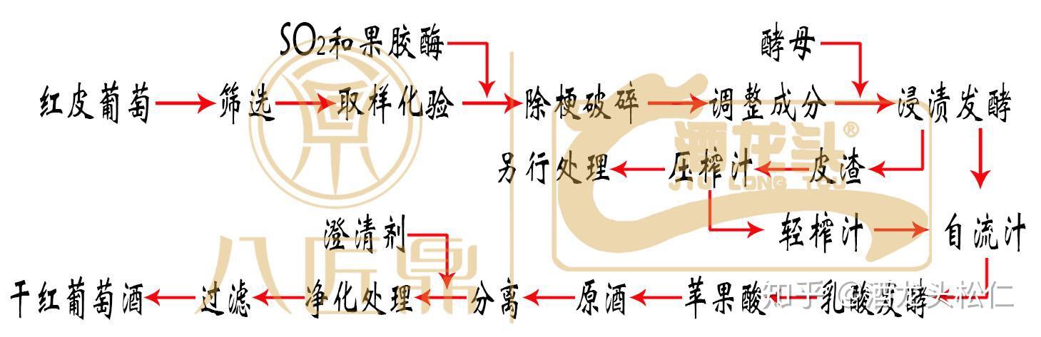 制造葡萄酒的过程