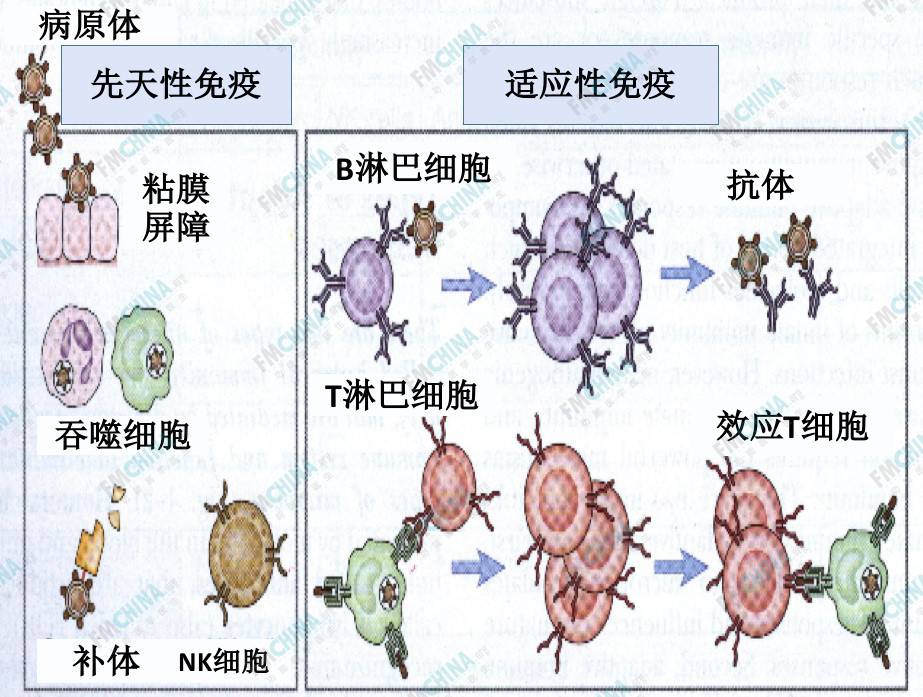 做梦经常梦到别的男人