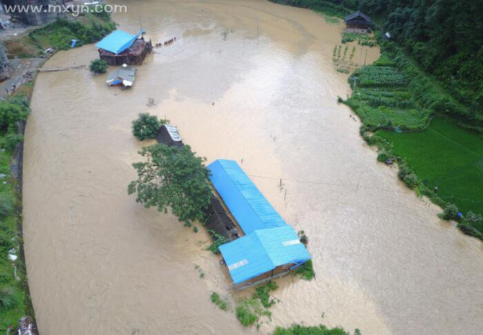 梦见下雨涨水是什么征兆