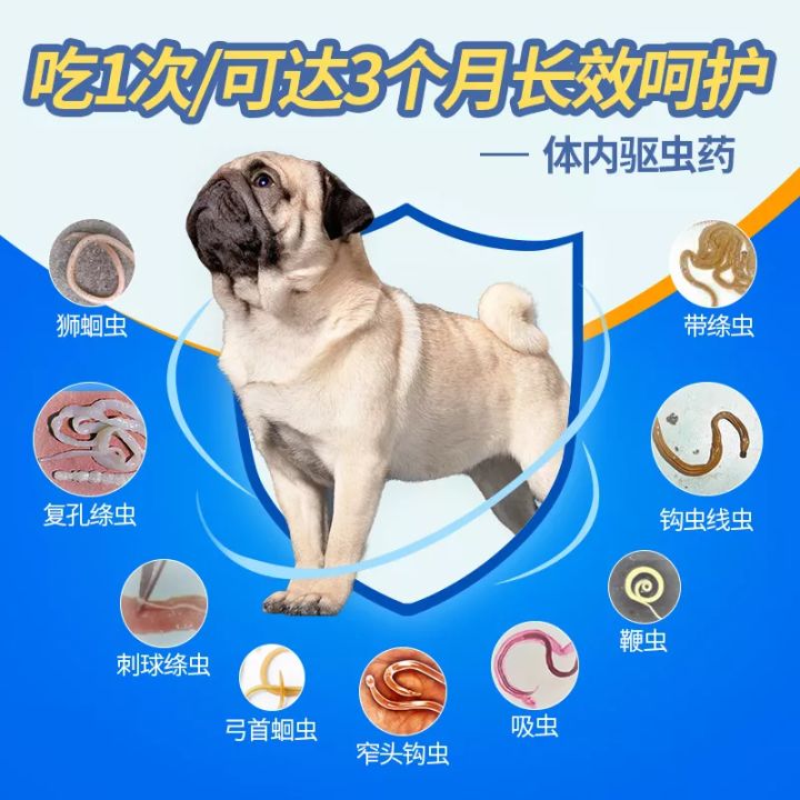 狗体外驱虫后几天可以洗澡