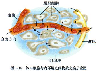 体内感受内外刺激的细胞叫受体 (感遭到体内那根物品的变动 在车里被㖭全身的刻画)