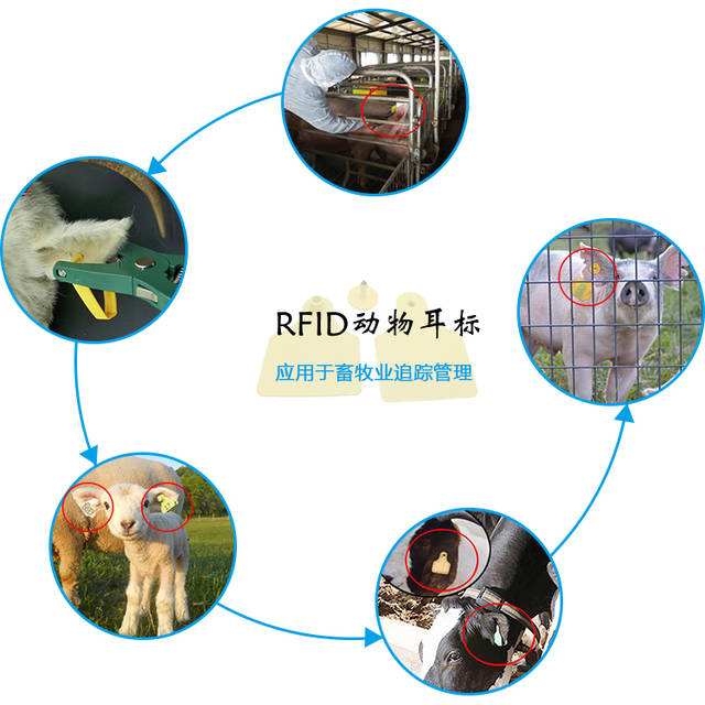 牲畜智能饮水机的上班原理