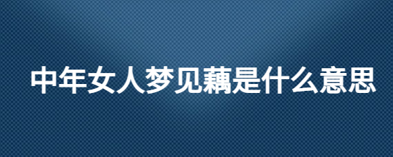 中年女人梦见和别的男人暧昧