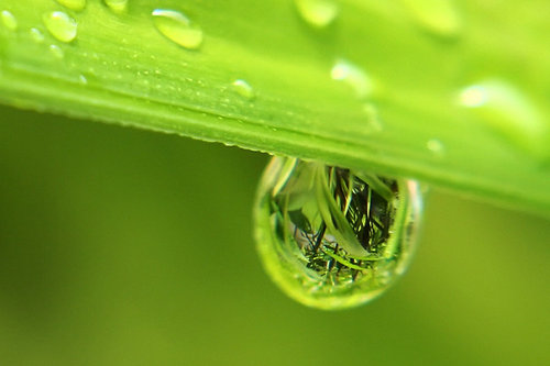 下雨能缓解空气污染吗 (下雨能缓解空气污染吗 副题目雨水对空气品质的踊跃作用)