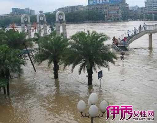 梦见涨大水什么状况