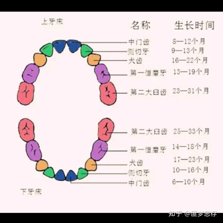 揭开梦中牙齿掉了一颗