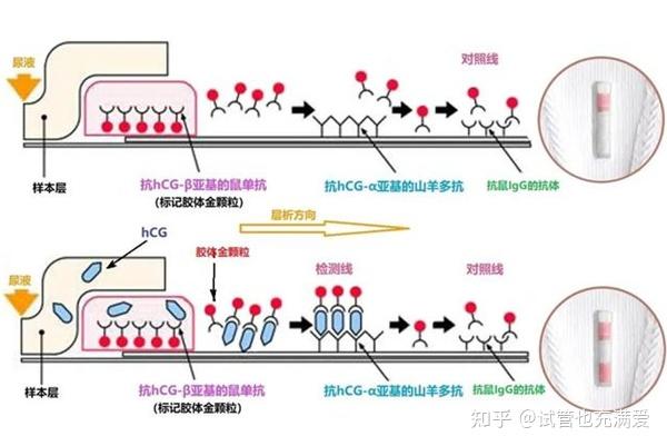 孕期梦幻解析多人共食象征着什么 孕妇梦见好多人吃席