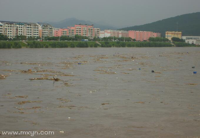 梦见被大水冲走了是什么意思