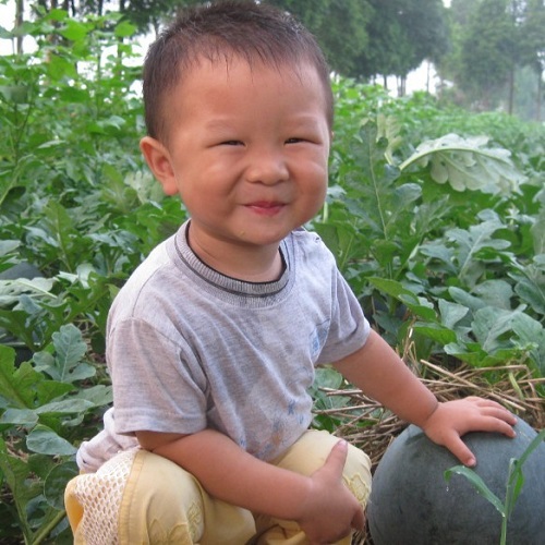 小男孩