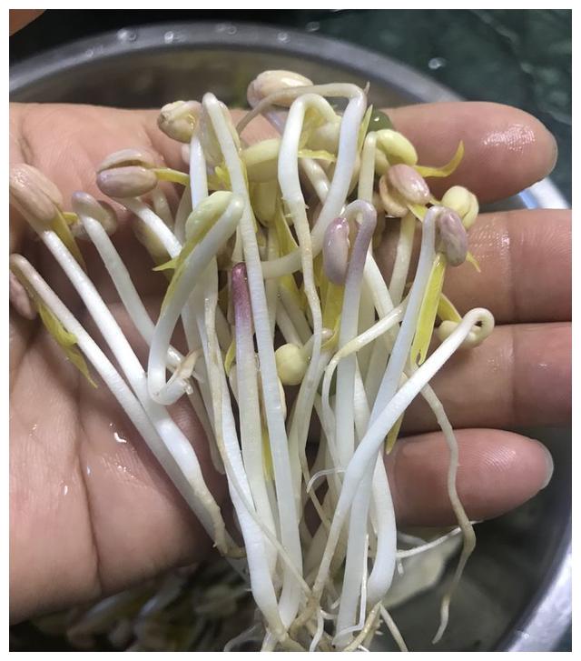 自己在家做豆沙怎么做 (分享自制豆沙包的小窍门 豆沙包蒸多长时期最好呢)