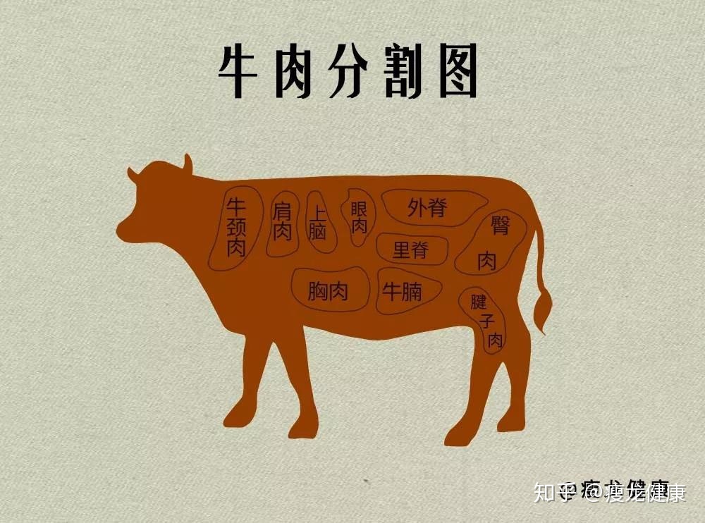 不同部位的牛肉都叫什么