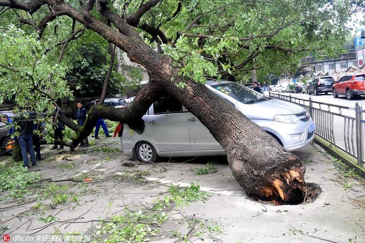 梦见狂风暴雨闪电雷鸣什么意思