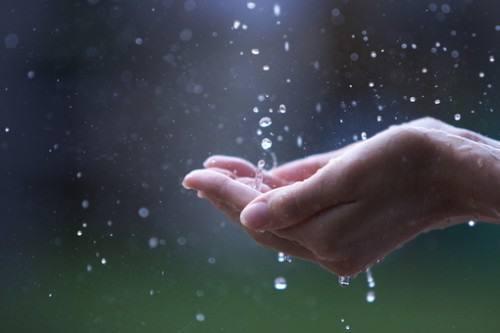 下雨天的心境句子 (下雨天的心境文案说说 适宜下雨天发的好友圈短句)