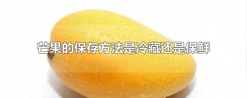 芒果冷藏还是常温保存 (芒果冷藏还是常温比拟好 食材保鲜窍门)