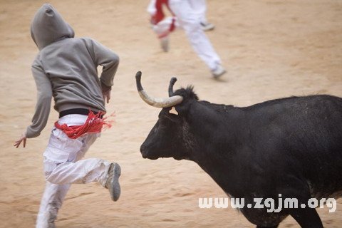 女人梦见牛被偷了什么预兆