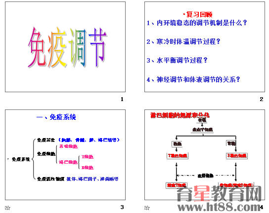 弹窗