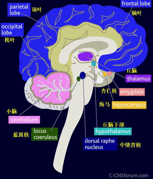 男生一个月不导管会怎么样 (男生一个月不刮胡子会长多长 男生不刮胡子一个月会有多长)