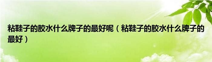 鞋子的胶水滋味有毒吗 (鞋子的胶水滋味终究是什么 鞋子胶味太大是甲醛滋味吗)