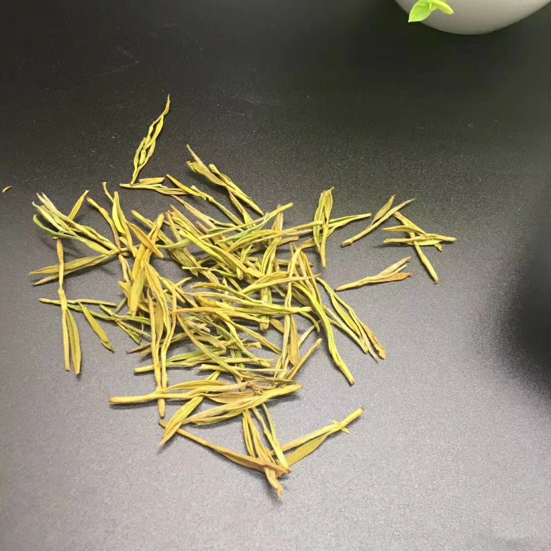 黄金芽茶叶是红茶还是绿茶