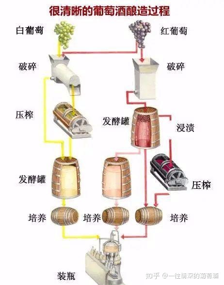 葡萄酒通用剖面图片 (葡萄酒通用剖析方法的规范 葡萄酒剖析规范的运行)