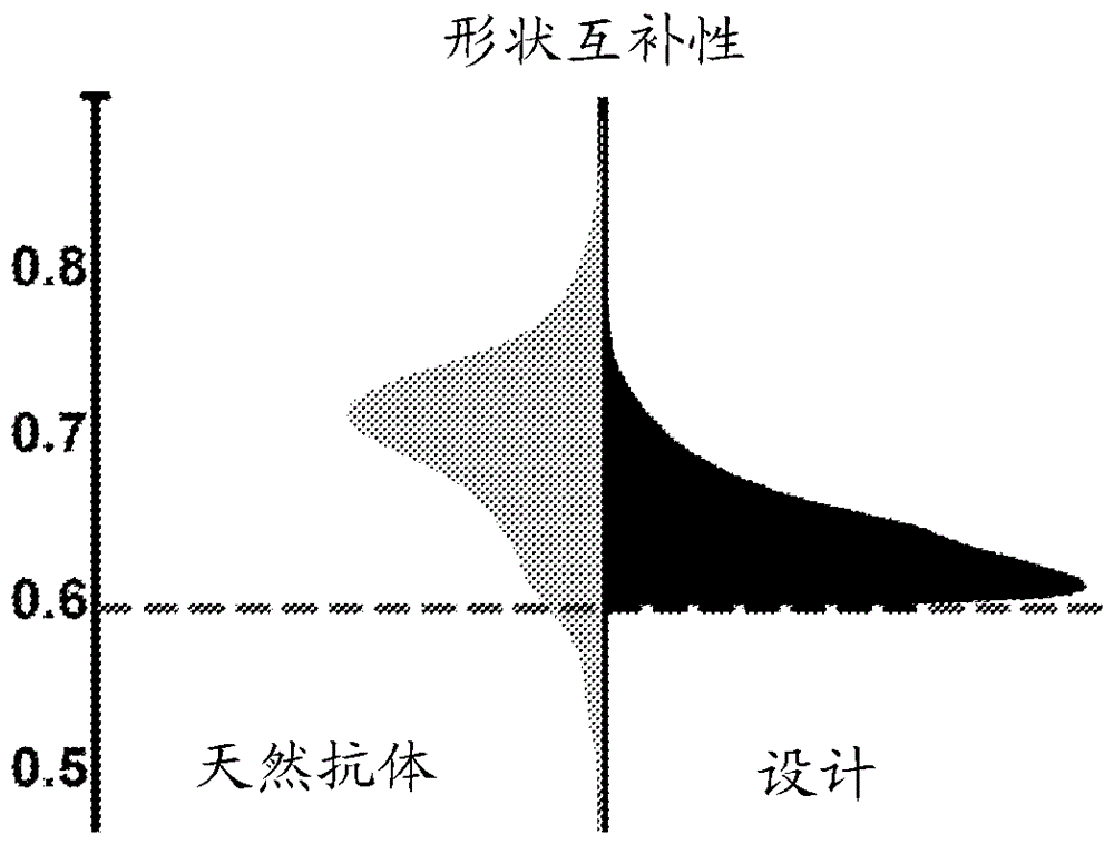 如何计算蛋白质摄入量 (如何计算蛋白摄入量 一只虾的蛋白质等于几个鸡蛋)