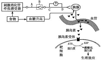 感遭到体内那根物品的变动