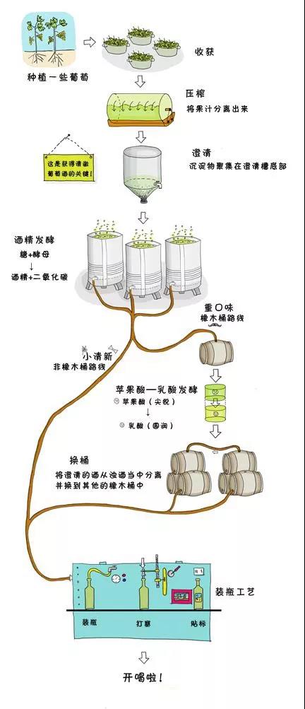 葡萄酒制造原理 (葡萄酒制造原理反响方程式 葡萄酒制造的化学反响原理)