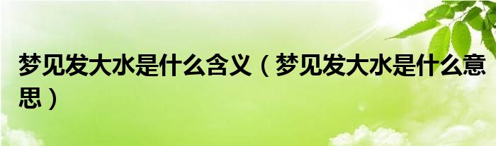 梦见发大水是什么意思 周公解梦 (梦见发大水是什么预兆)