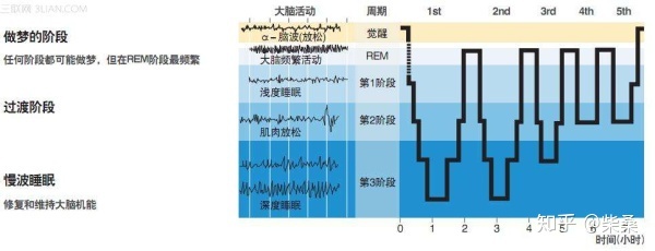 睡眠