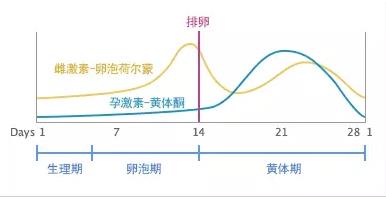 这经期前后几天乳房疼 (这经期前后几天都是排卵期哦 排卵日有几天时间)