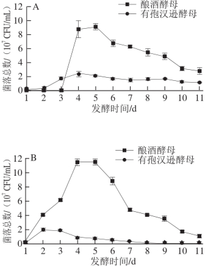 葡萄酒酵母比例是多少