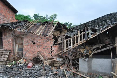 梦见家中院子里好大一棵树 (梦见家中院子内涨水预示着什么 梦见自己家院子里发大水了)