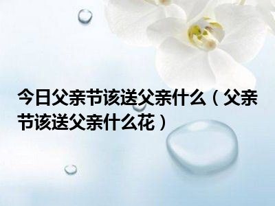 儿子送父亲生日礼物什么好 (儿子送父亲生日礼物什么好 父亲生日礼物介绍)