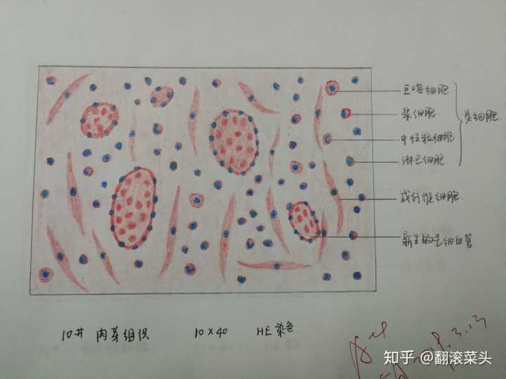 为什么咱们会在梦中拉屎拉尿