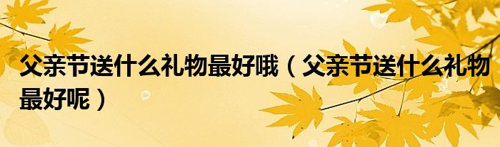 男友父亲礼物送什么好 (男友父亲礼物介绍 送男好友爸爸送什么礼物好)