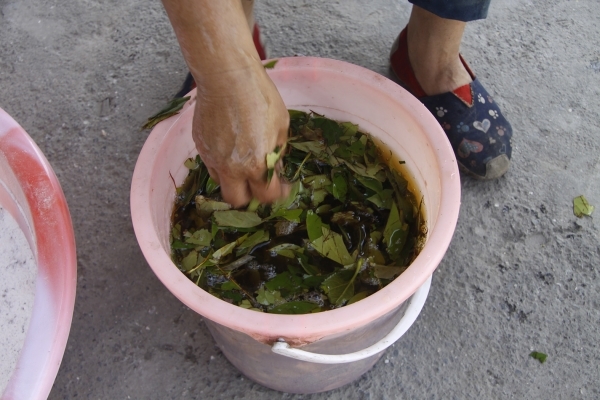 土法酿葡萄酒的制作方法 (土法酿葡萄酒的制造方法 自制葡萄酒的便捷流程)