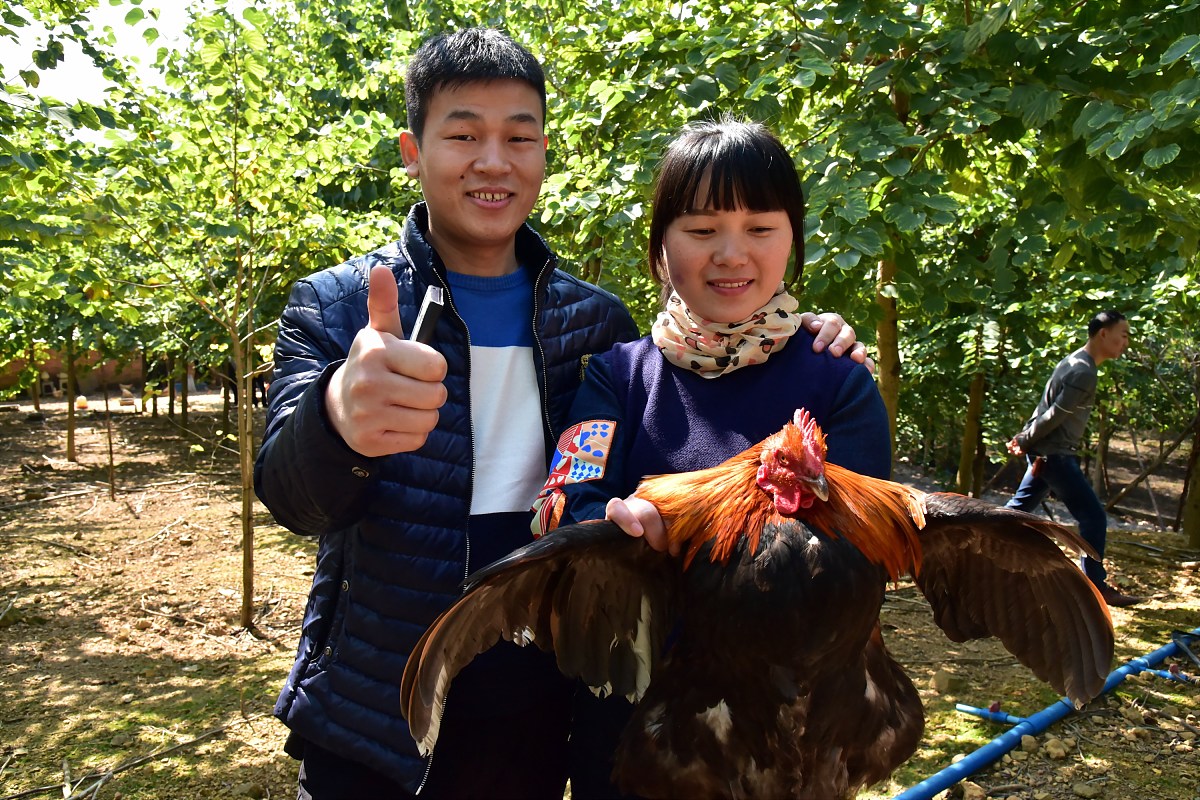 女人梦见牙齿松动,轻轻一扯就掉 (女人梦见牙齿全掉了是什么征兆 女性梦见牙齿零落的要素及应答)