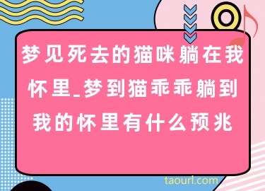 梦见死去的亲人吵架是什么意思啊