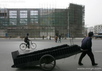 已婚梦见好多蛇是什么预兆 (已婚梦见好多蛇 如何解读梦幻中的生物)