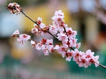 梦见死去的前男友是什么意思 (梦见死去的前辈跟自己谈话能打牌吗 梦见死去的前辈跟自己谈话的解析与剖析)