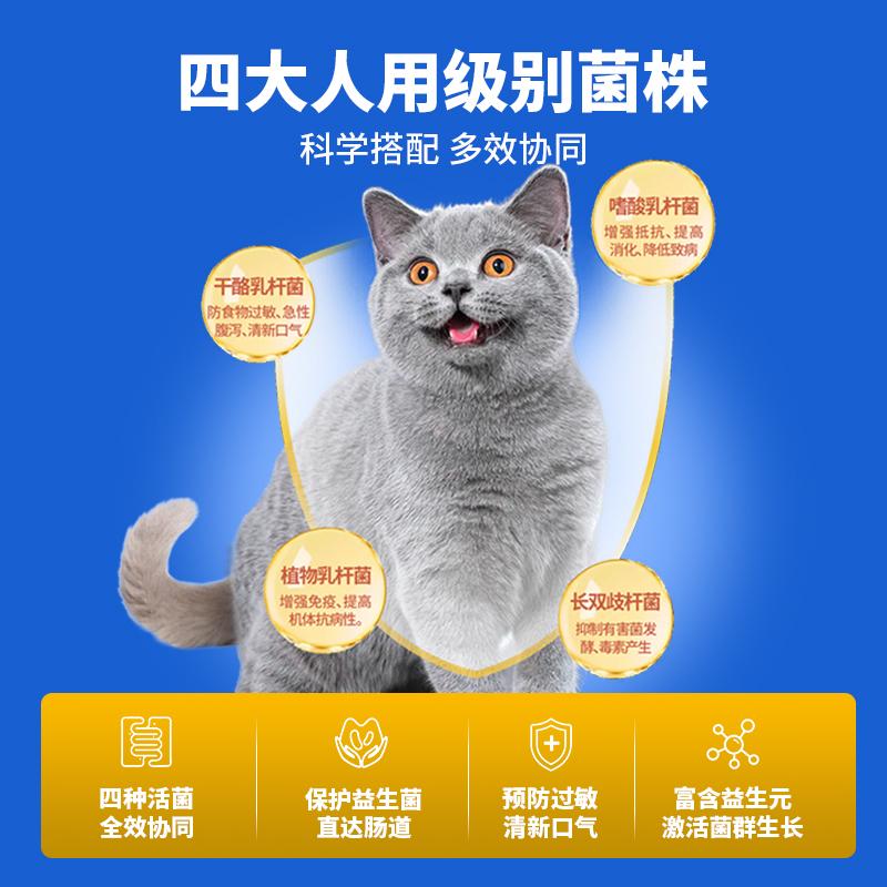 猫咪拉稀但精神很好怎么回事 (猫咪拉稀但精气很好的要素剖析 猫拉稀然而精气很好须要管吗)