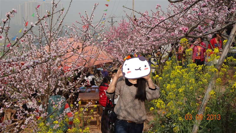 送女友桃花如何表白爱意