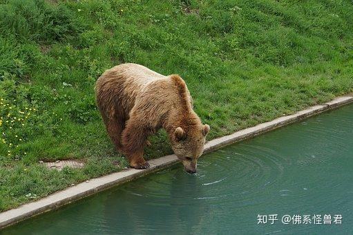 一次性喝多少水会水中毒 (一次性喝多少葡萄酒比拟肥壮)